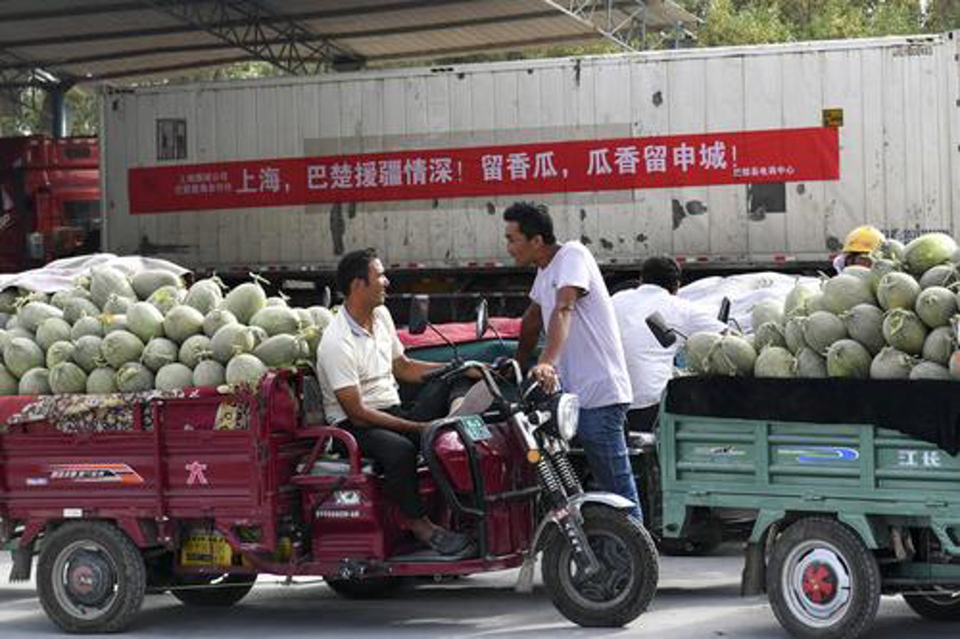 恬秧电商